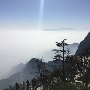 骚妇被艹  欧美
